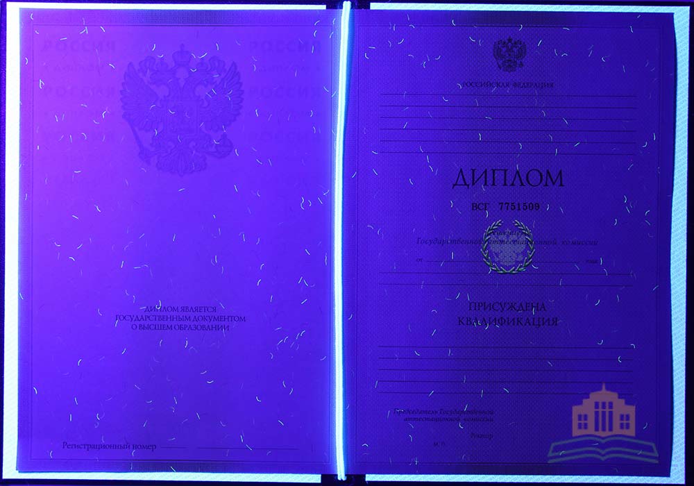 Диплом специалиста 2009-2011 Фото Диплом специалиста 2009-2011 Фото